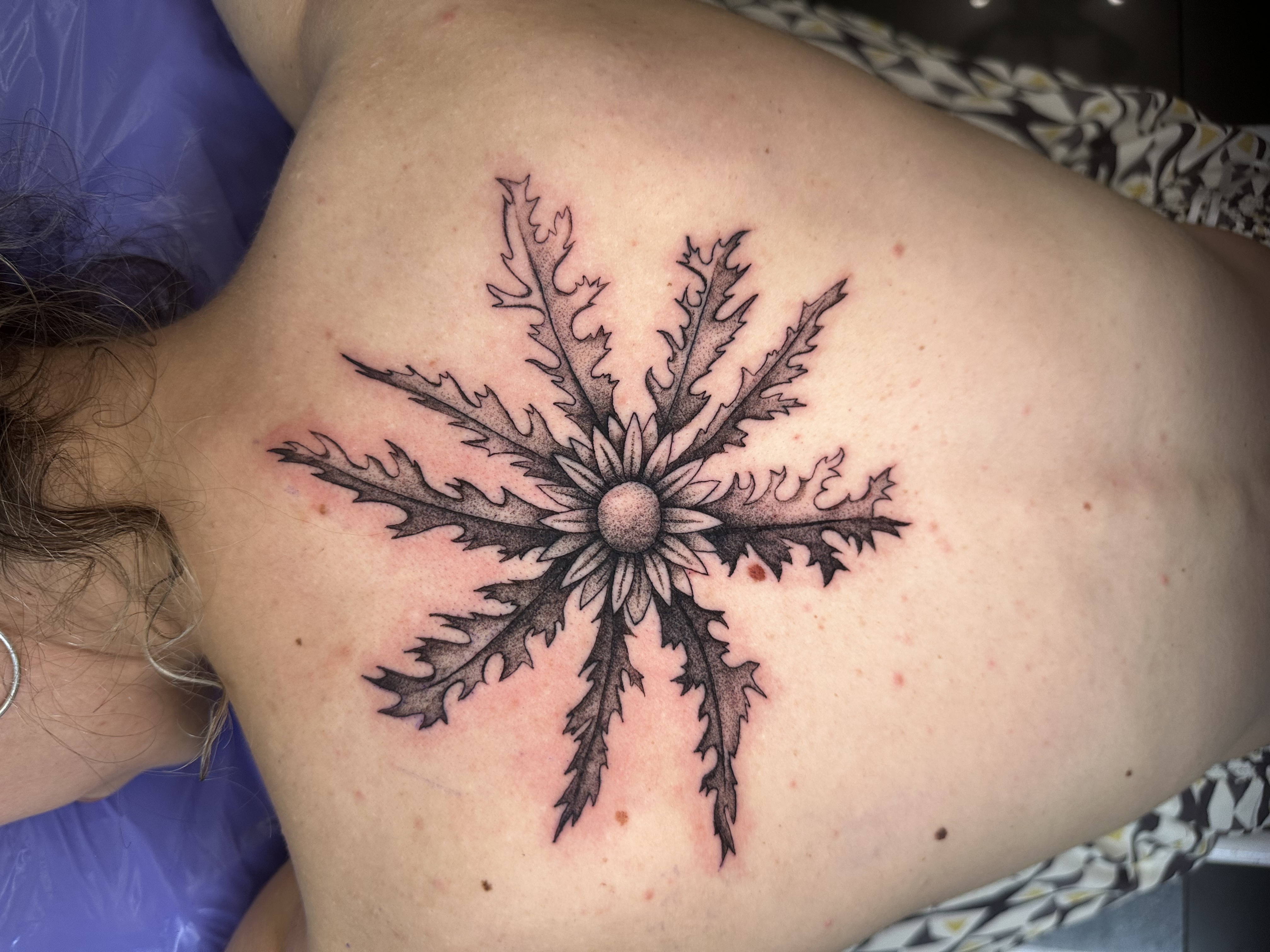 blackwork botanico